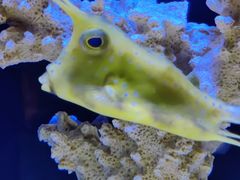 -上海海洋水族馆