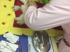 -全心全意连锁动物医院(加州店)