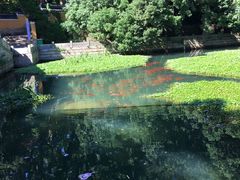 -普陀山风景名胜区-法雨禅寺