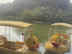 -珠海海泉湾神秘岛亲子乐园