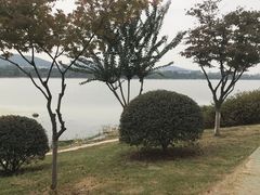 -羊山湖公园