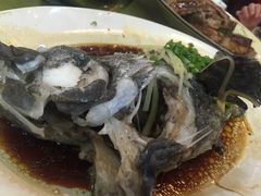 -台山第一家兴华黄鳝饭·黄鳝婆(开平店)
