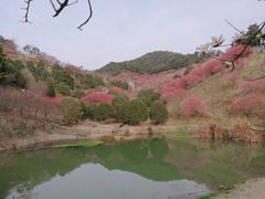 -溪口-滕头旅游景区