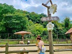 -龙岩森林水乡景区