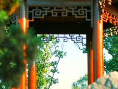 -东莞植物园