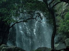 -马峦山郊野公园