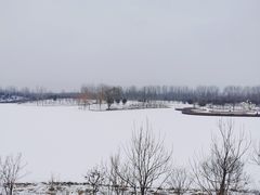 -东郊湿地公园