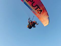 -费特希耶滑翔伞