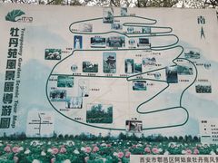 -盛世牡丹苑生态文化旅游区