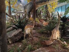 -湖南省地质博物馆