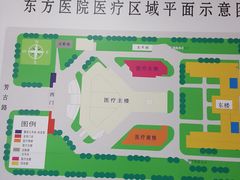 -北京中医药大学东方医院(方庄院区)