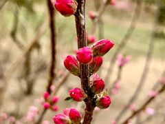 -大兴滨河森林公园