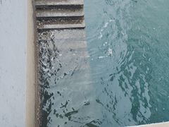 -中华人民共和国水准零点