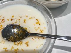 桂花豆花-欧记大排档·景德菜(上海首店)