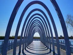 -大兴滨河森林公园