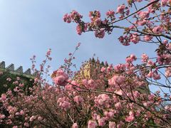 -奉浦四季生态园