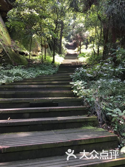 缙云山景点 登山石板路图片 第12张