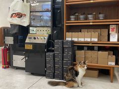 -玫瑰咖啡(中山六路店)