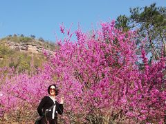 -天台山赤城山景区
