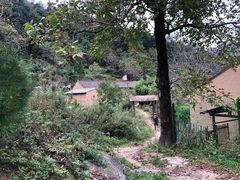 -终南山国家森林公园