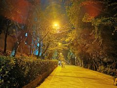 -武汉大学-樱园