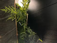 -华夏良子·足道SPA艾灸(金皇大厦店)
