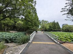 -大宁公园