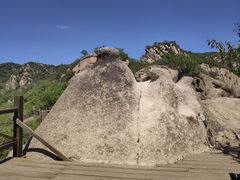 -大岭沟猕猴桃谷风景区