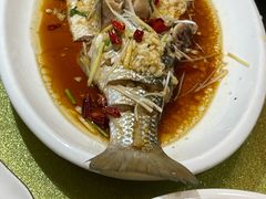 -浩家苑菜馆(汉口路店)