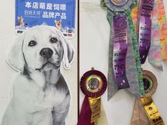 -唐小姐の猫狗洗护·购宠旗舰店(周浦万达店)