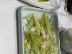 -丁老爷子苏香圆