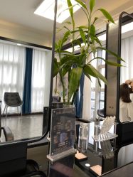 -凯博K-boom Hair Salon