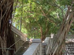 -香港佐治五世纪念公园