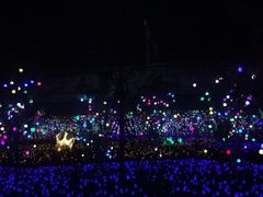 -枫林花海