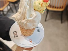 -野人牧坊Gelato(苏州中心店)