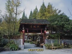 -青城甲(青城山店)