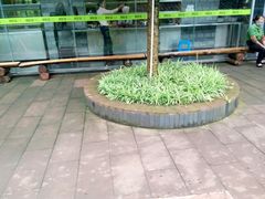 -楠柏弯休闲山庄(梨花溪店)