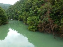 -九龙江国家森林公园