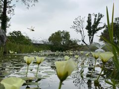 -上海植物园-4号门售票处