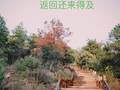 -南京市无想山景区