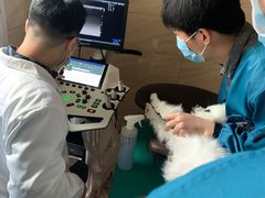 -安安宠医·安宠宠物医院