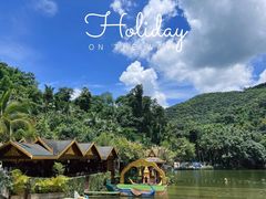 -西双版纳原始森林公园