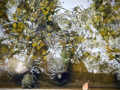 -宁波市保国寺古建筑博物馆