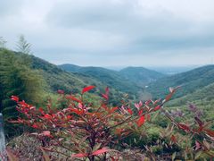 -东明山森林公园