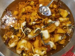 水煮鱼（鮰鱼斤）-正兴蜀园(科技园区店)