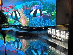 -唐宫足道·SPA·住宿24H会所(木渎店)