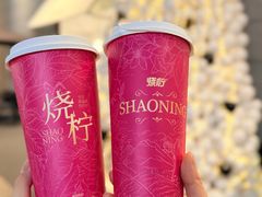 -烧柠·柠檬茶(大融城店)
