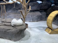 -海合安青岛极地海洋公园
