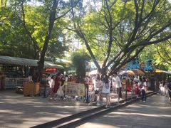-晓港公园