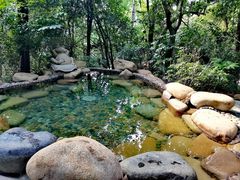 -天目湖涵田半山温泉